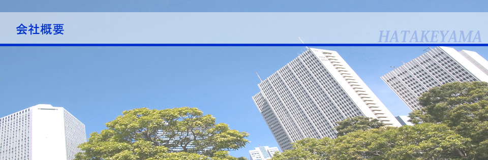 株式会社HATAKEYAMA会社概要